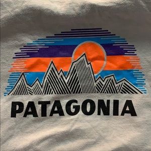 Gray Patagonia Tshirt, great condition
